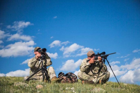 Оптический прицел NIGHTFORCE SHV™ 4-14×56 MOAR™ (C522)
